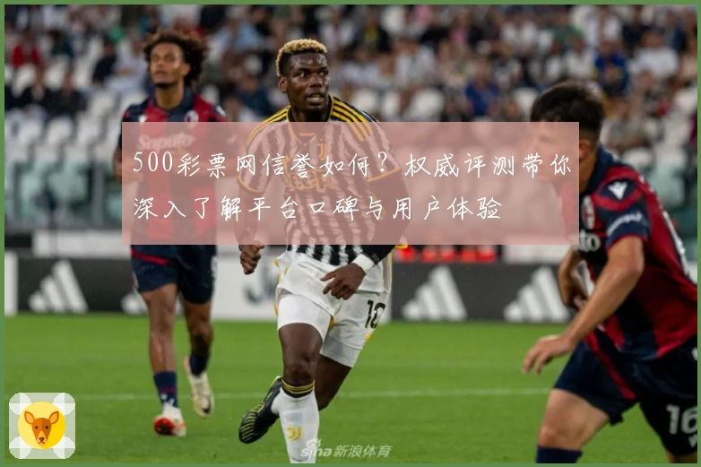 500彩票网信誉如何？权威评测带你深入了解平台口碑与用户体验